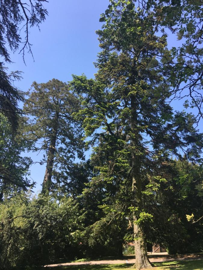 Le Château des Tourelles en Vendée La Gaubretiere Exterior foto